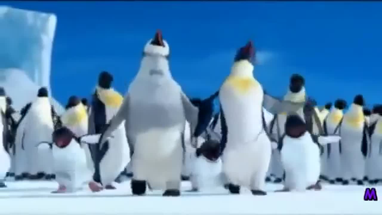 Happy Birthday Song Dancing Penguins meme template video