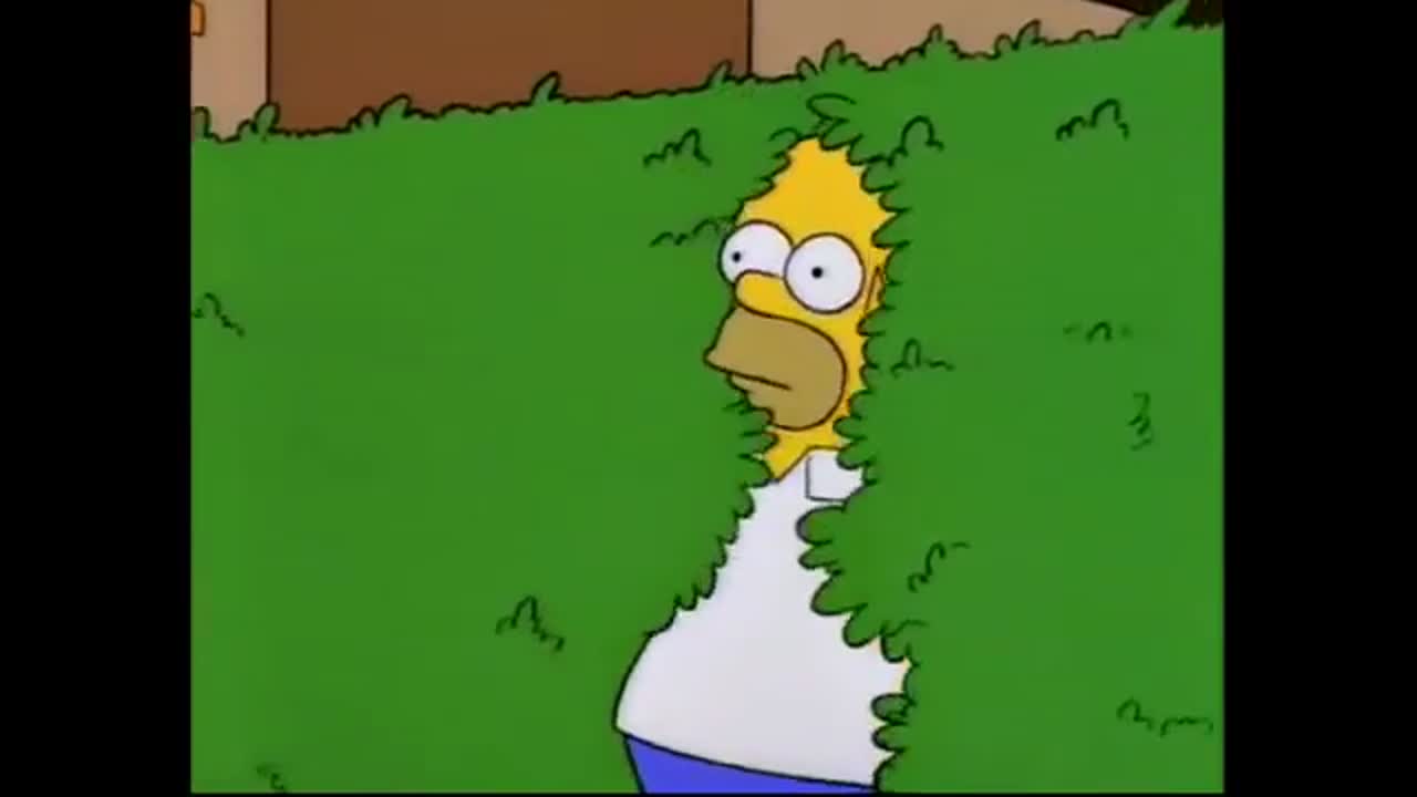 Homer disappears into bushes The Simpsons meme template video